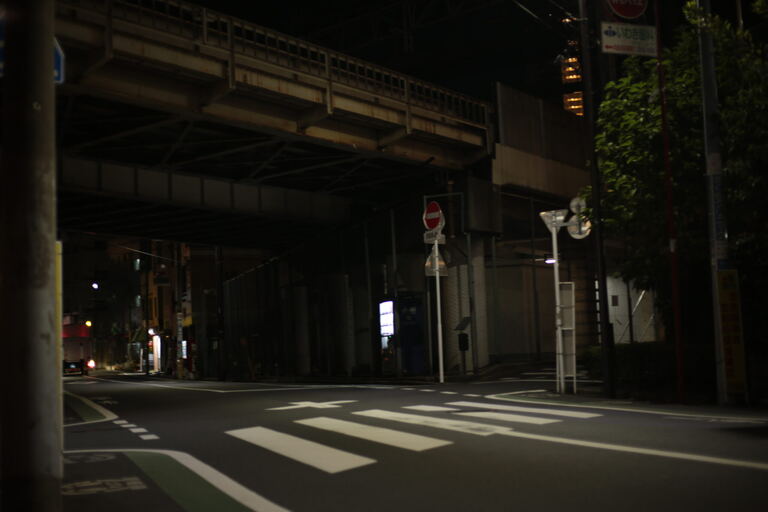 Quiet zebra crossing beneath elevated rail tracks on an empty city street