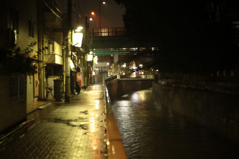 Rain-wet canal walkway at night with reflected streetlights and no pedestrians